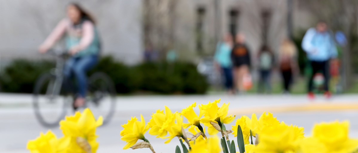Student riding bike with yellow flowers in foreground 