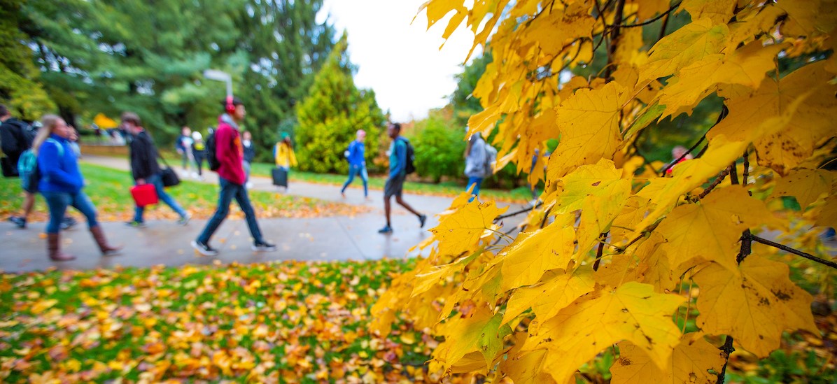 Student walking on sidewalk in Fall