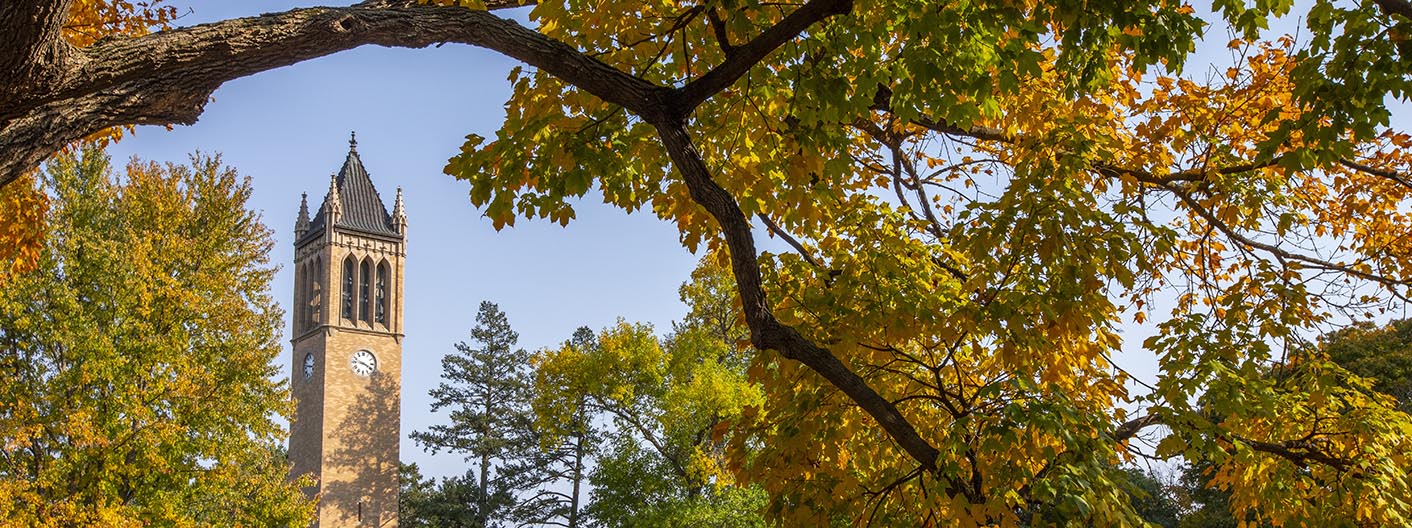 View of the campanile framed by leaves with fall colors.